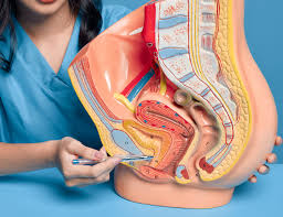 pelvic organ prolapse thumbnail